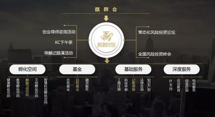 麒麟V創 構建天使投資生態，賦能創業服務新高度